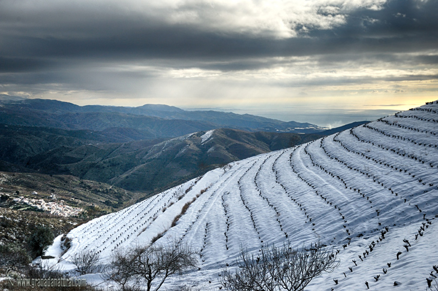 Alfornon (Sorvilan).Pueblos de Granada y la Alpujarra