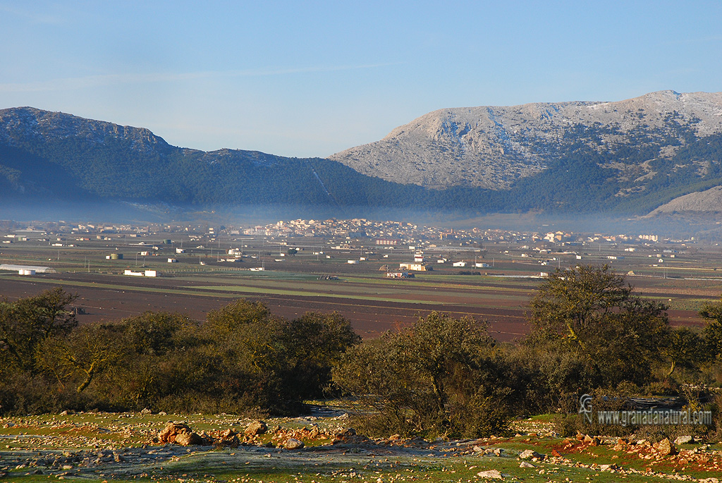 El polje de Zafarraya